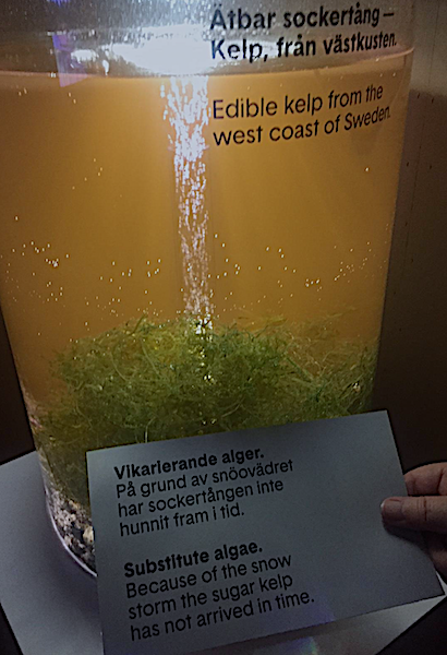 Sockertång o snöstorm