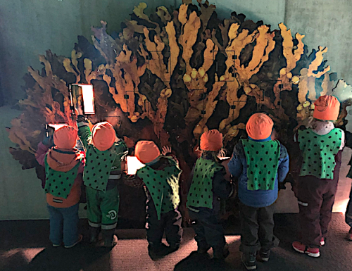 2 Daghemsgrupp Crocodillerna 20190410