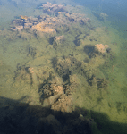 4 luddig tång 20190419