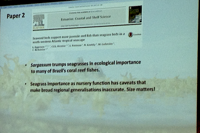 5 Sargassum trumps seagrasses