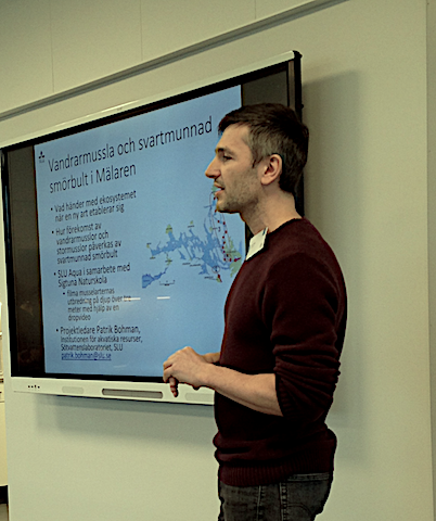 6 Vandrarmussla och svartmunnad smörbult 20190409
