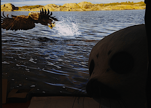 örn o säl 20190311