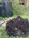 2 Kompost 4 höstrep&nbsp;20190917