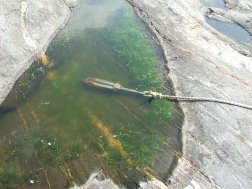 Tarmtång i hällkar