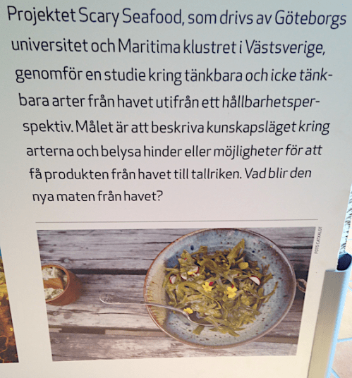 1 Projektet Scary seafood