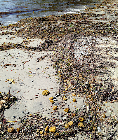 2 kantSaltö20190630