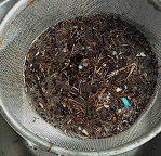 5 lite pilligt att samla&nbsp;in