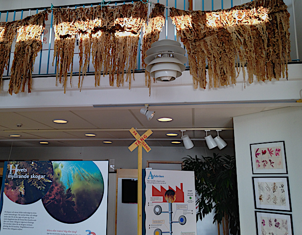 Entren utanförhörslaen