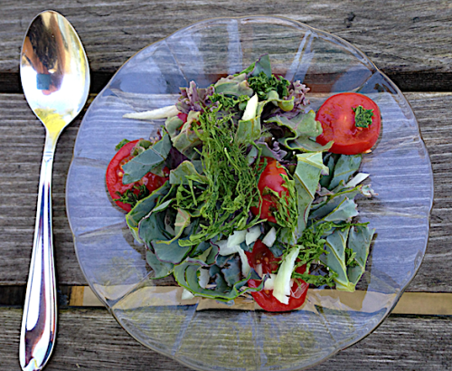 Krispig strandkålssallad tarmalg