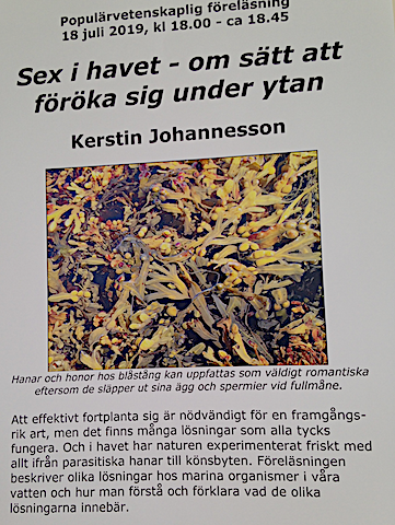 populärföreläsning Tjärnö
