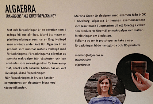 4 Algaebra examensarbete