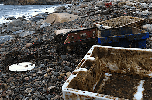 2.Ängklåvbukten backar