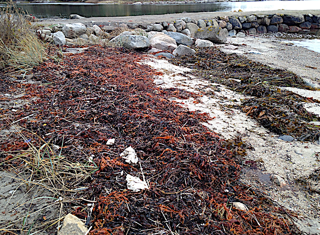 4 Tångvallar piren20191027