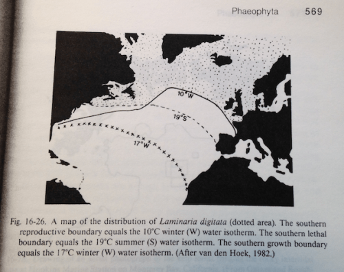 Utbredning av Laminaria digitata o temperatur