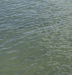 2 östersjövattenyta