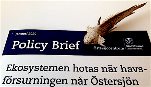 1 Policy brief om försurnig