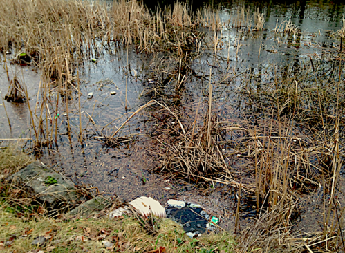 1 skräp vid Djurgården