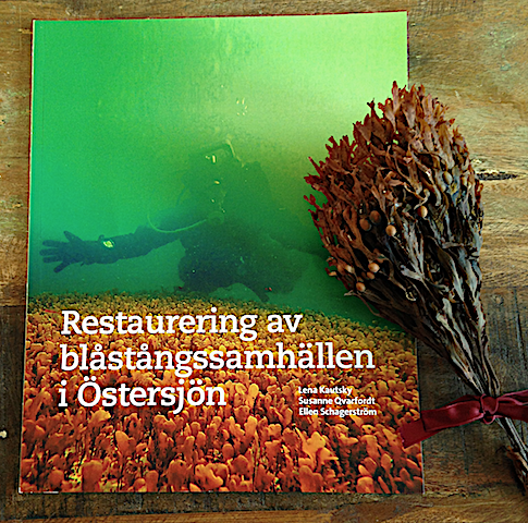 Bild 1 Tånghandbok 20200312