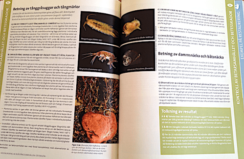 Bild 3 Betning20200312