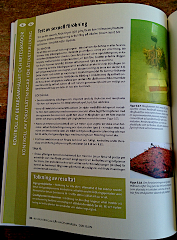 Bild 4 Test av sexuell förökning -tång