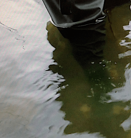 2 bubblor från sedimentet