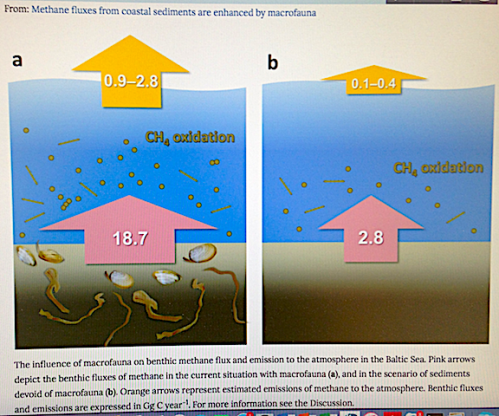 2.1 utsläpp från bottenmiljön