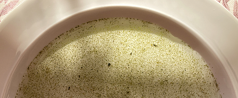 1 Tallrik med knippvattenblom