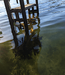 6 badstegen -nästan som ett&nbsp;tångbad