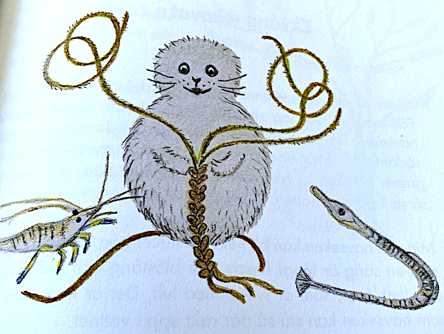 Noriko flätar armband