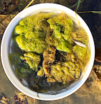 drivande alger o spigg i tunna